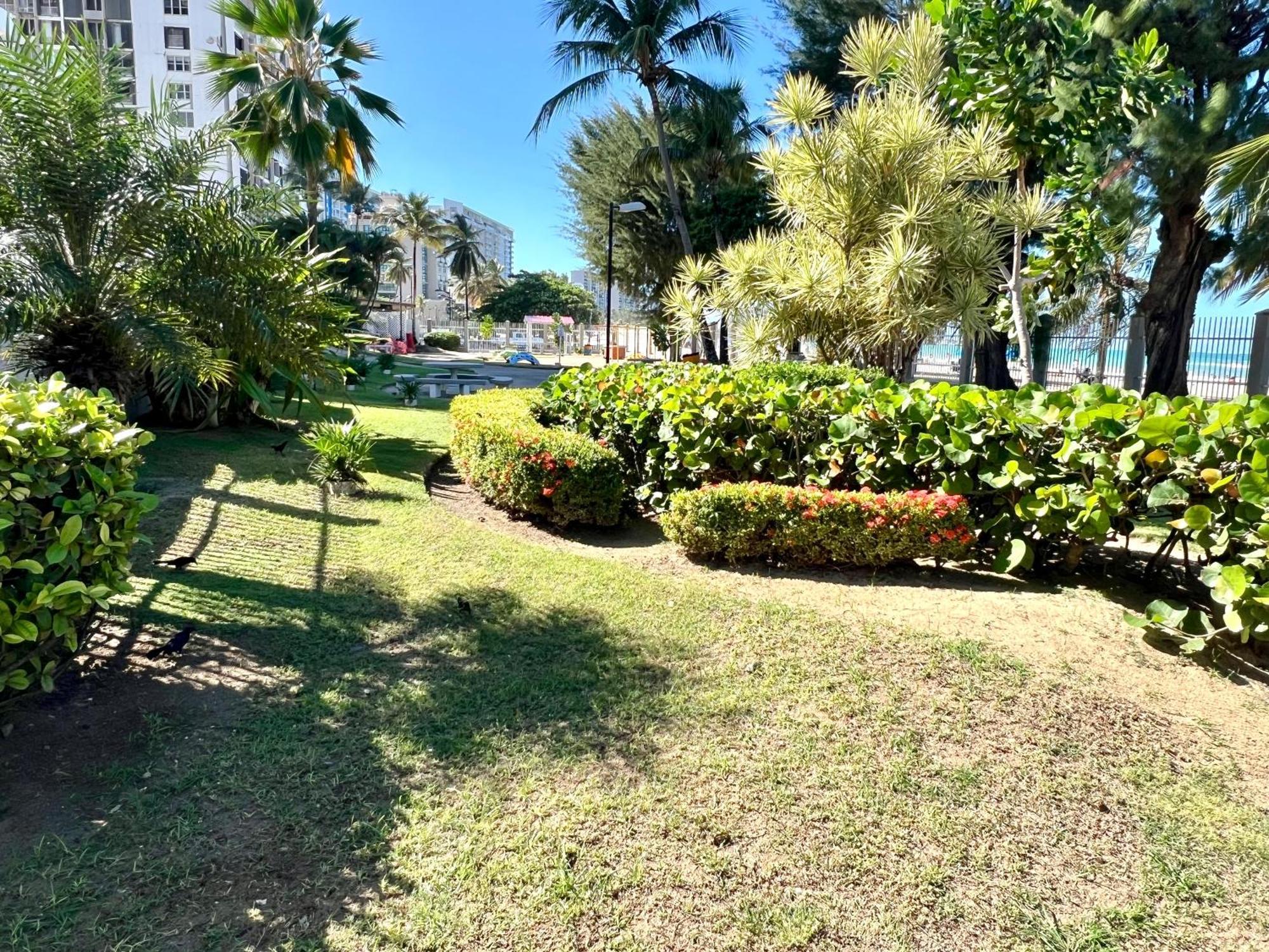 Ocean View Apt On Isla Verde In A 14Th Floor ซานฮวน ภายนอก รูปภาพ